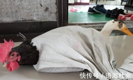 |搞笑GIF图：有个当过兵的老爸，真的是太酷了，飞一般的感觉，这比赛准赢了