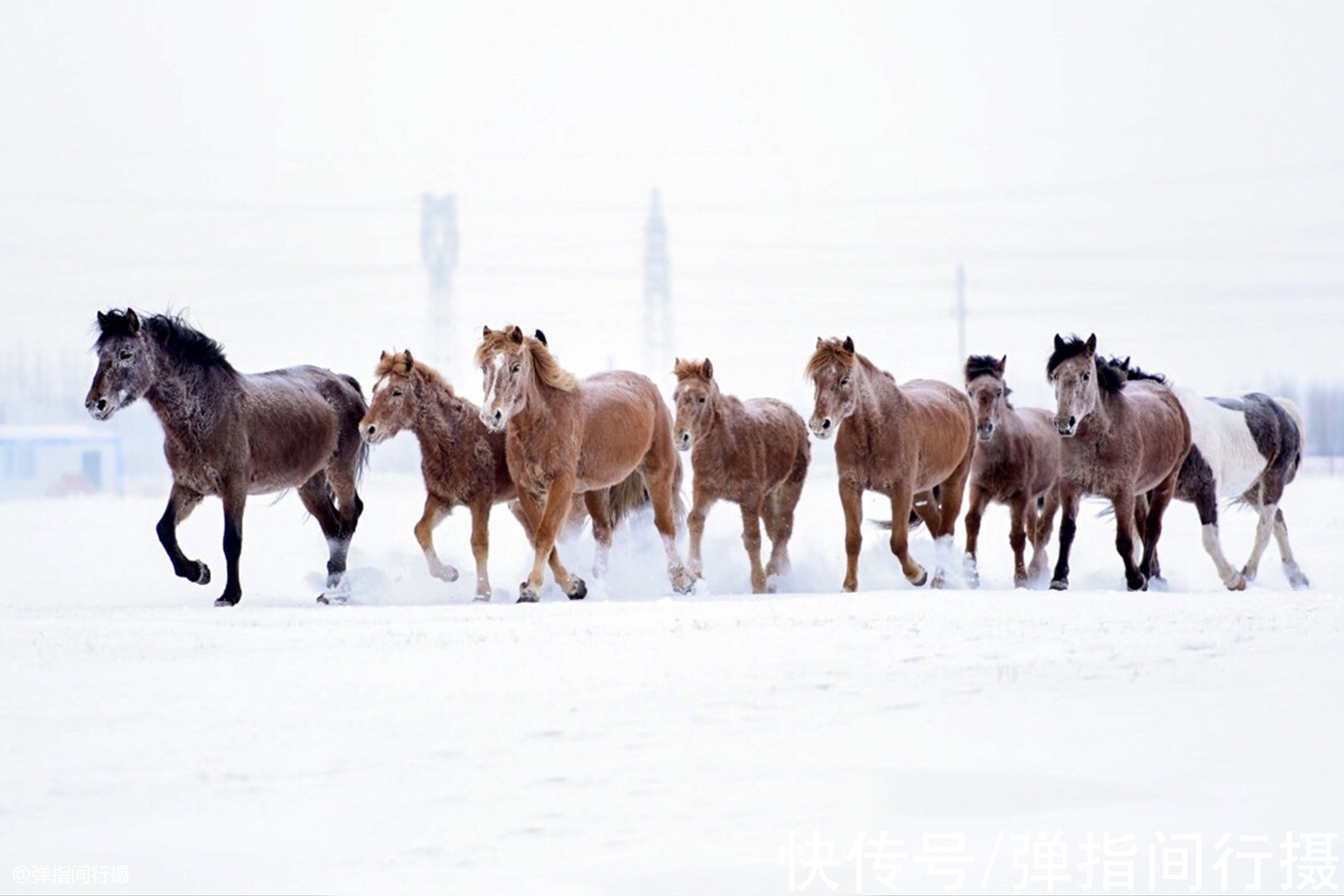 冰雪|中国3个小众的绝美雪境，雪山雾凇鲜有人去，风光惊艳难以言表