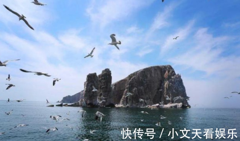 博物馆|山东一旅游海岛，发现大量房屋遗址、古墓葬，被赞“海上博物馆”