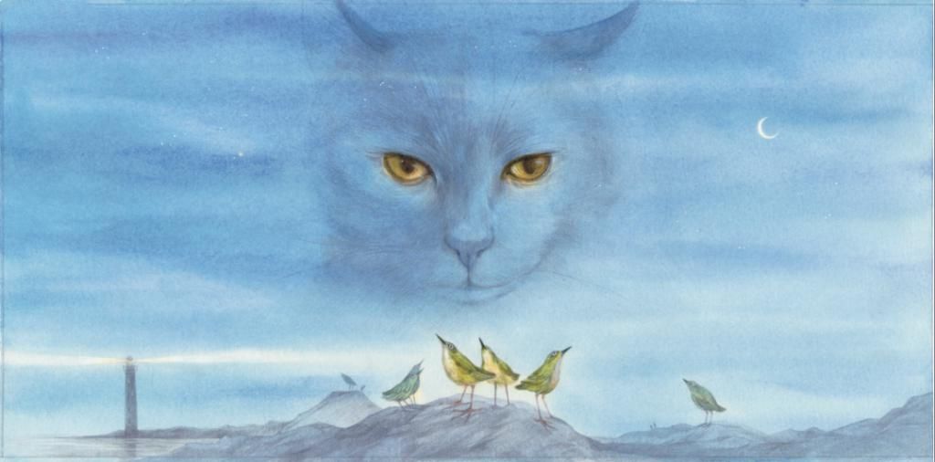 动物|打开世界各地动物的信笺,我们能有何感悟?