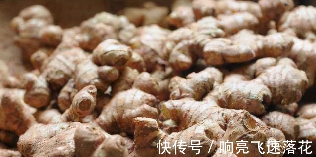 炖羊肉汤,这4种调味料缺一不可!许多人不知道,难怪又腥又难吃!