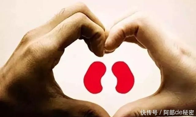 恶习|3个喝水的“恶习”,或许让肾脏越来越“差”,不妨尝试这样喝水