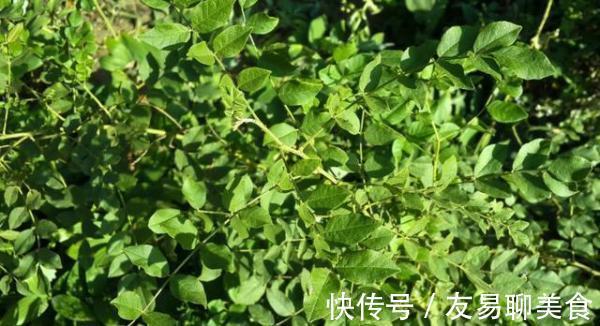 子宫|有妇科炎症的女人,早起常喝这3水,排出子宫污血,防止细菌滋生