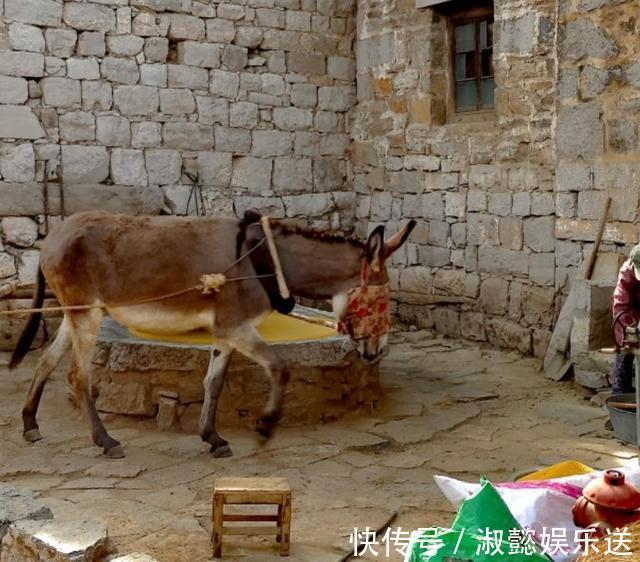 河南|河南最美休闲乡村，家家户户骑驴车出行，距今已有600年历史