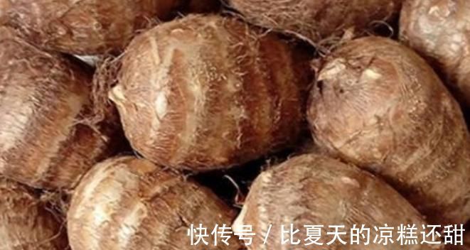 肠道健康|地下人参你知道是什么吗？，真正的护脾王，养脾胃，建议老人多吃