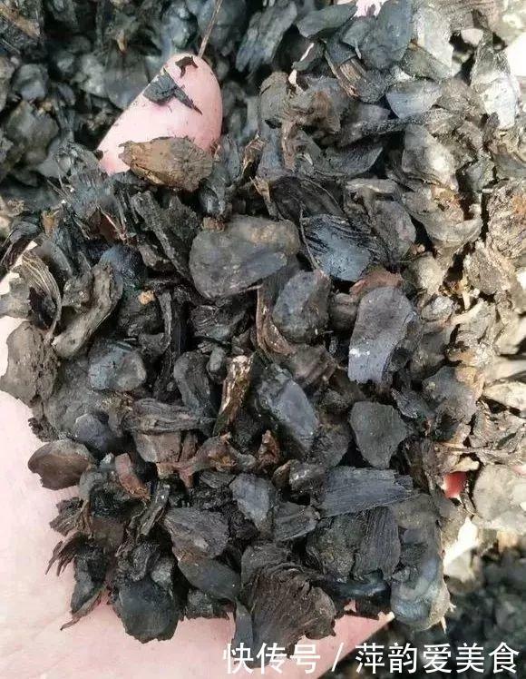 路边捡点它,开水一烫扔盆里,养花10年不烂根!