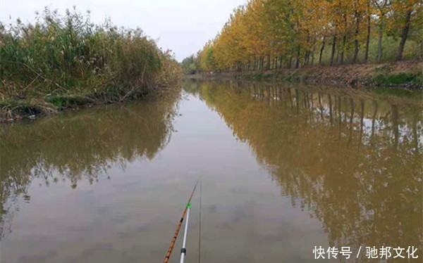 更难|冬季钓不到鱼,不能怪天冷,气温高可能更难钓,这是为何?