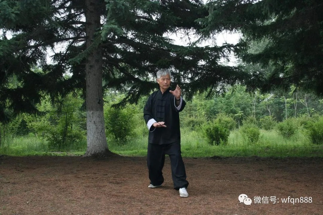 实战性|“太极十年不出门,形意一年打死人”到底啥意思?很多人都误解了