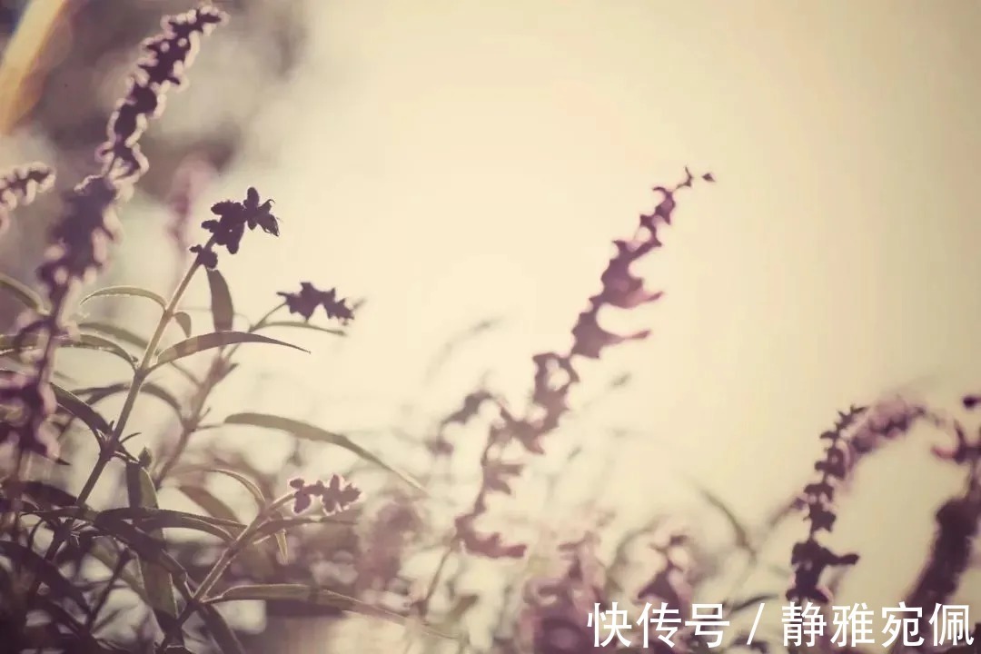 离思|这首诗被誉为“千古第一情诗”,把深情写到了极致,令人感慨万千