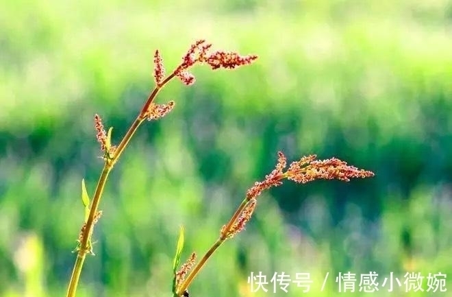 切莫&生活与妙招:18个有趣又聪明的小妙招,摆脱孩子带给你的烦恼