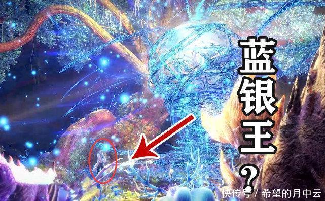阿银|斗罗大陆112集蓝银皇觉醒时,谁注意到角落的老者实力仅次阿银!