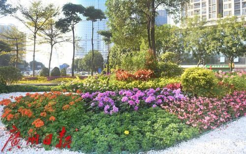 春花灿烂 年味渐浓