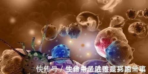 治疗|为什么癌症晚期治疗不了 看完后心里有数了, 原来如此!