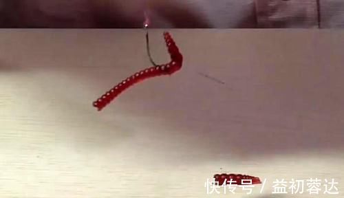 钩体|蚯蚓钓鱼使用小技巧，让钓鱼爱好者少走弯路