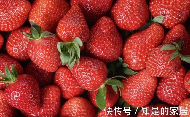 蛋白酶|癌细胞最怕的以下几种食物,连专家都在吃!常吃癌症躲着你