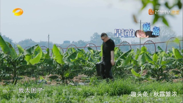 《向往生活》迎来第二个李诞式偷懒的明星，黄磊处理剩菜的方式赞