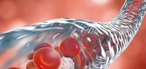 血管“清洁工”已找到,不是洋葱木耳,而是它,血栓或能不告而别