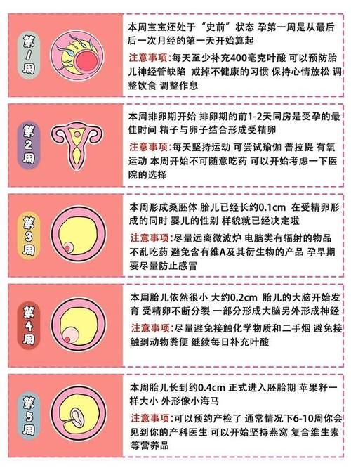 怀孕|女人第一次怀孕，会感到恐惧忐忑么？该怎么调整？