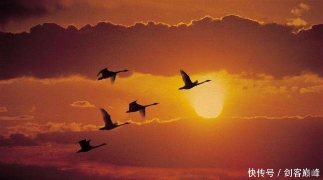 人到老年不求人,请记住这5件事!