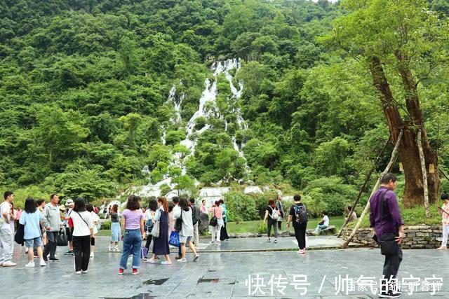 秋韵#【七绝·秋韵】清风伴我不孤行,晨起轩窗有鸟鸣