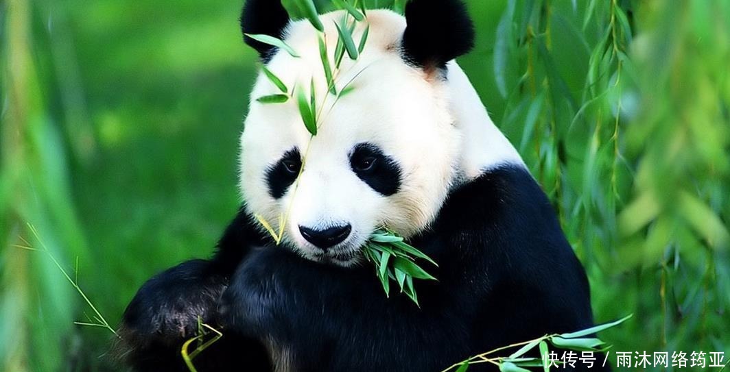  说不定|如果秦始皇墓被发掘, 说不定三件历史上著名的国宝就能出现