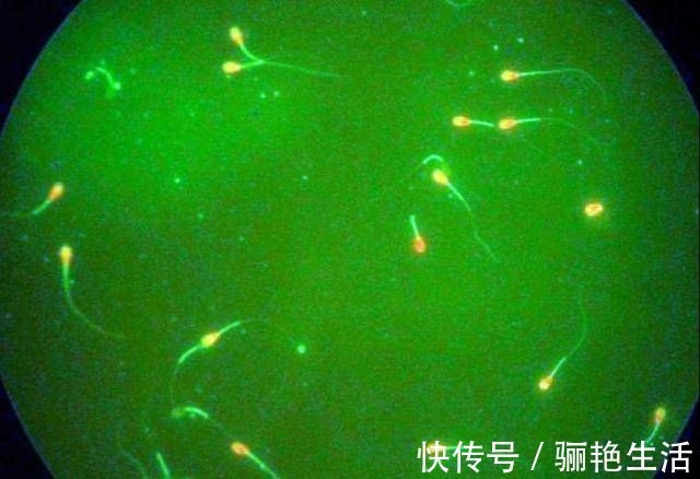 男人|男人满足这3个条件,更易让女人怀上宝宝,占到两个也不错