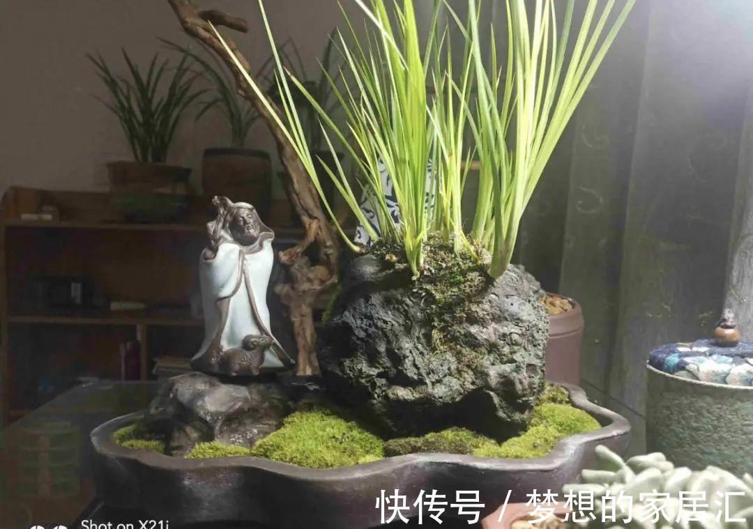 10种花太能喝水,一天一瓢水,7天爆满缸