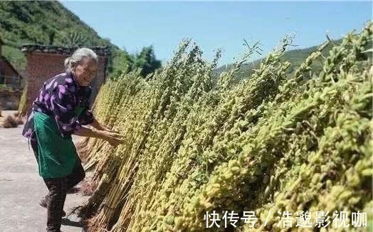 鹿茸|鹿茸人參靠邊站，真正的補腎猛將，男人敞開食，喚醒雄激素