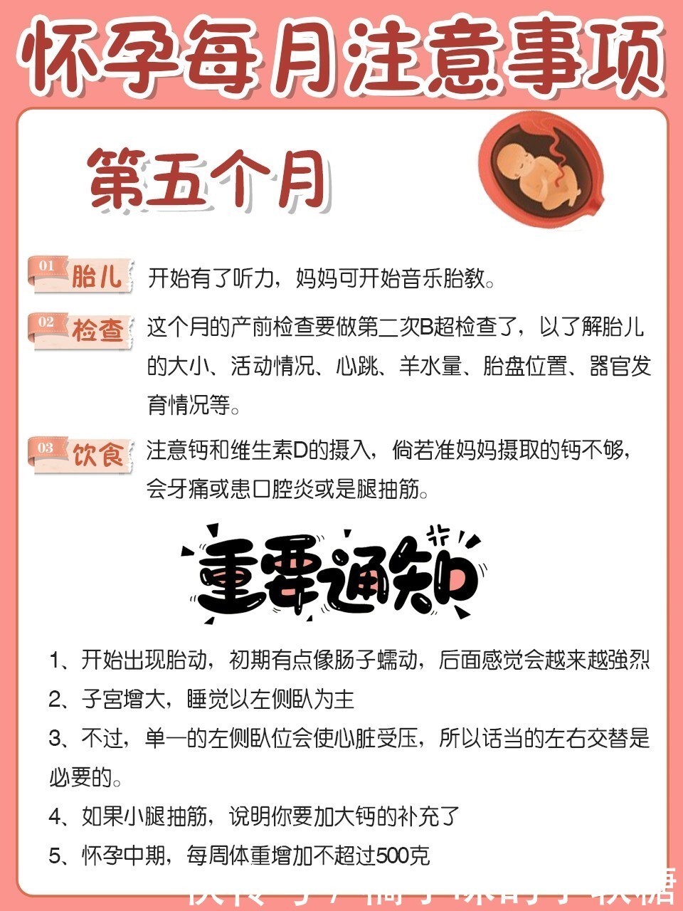 怀孕后每个月要注意什么？教你安心度过孕期