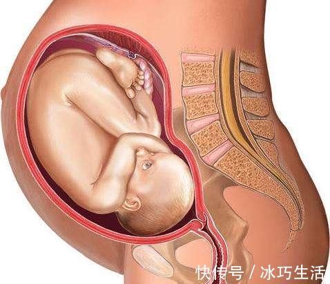 过程|顺产宝宝是怎么“生”的一组图带你了解全过程,妈妈其实不孤单