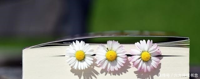 阳历2月7号是什么星座