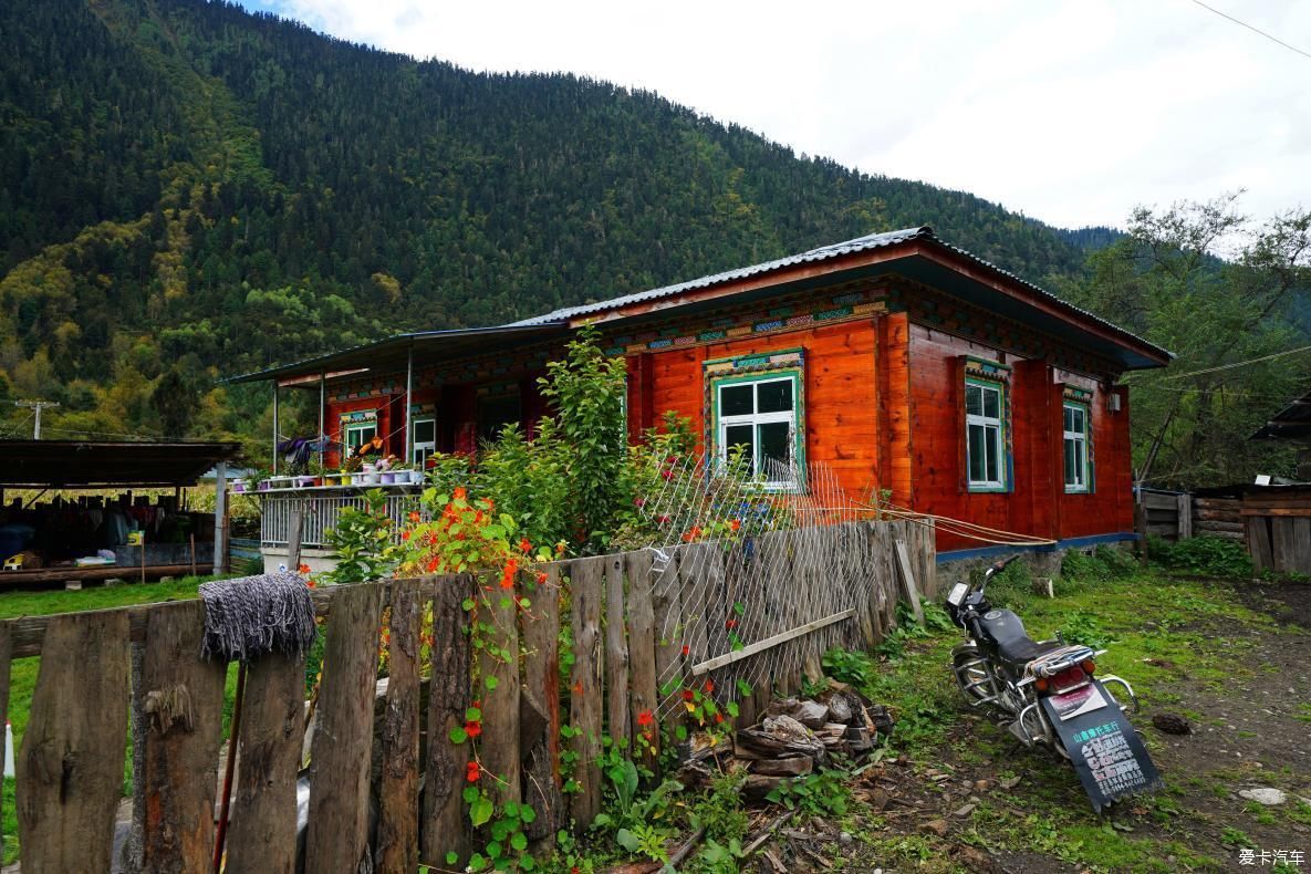 独自自驾游 欣赏最美的岗云杉林 体验环藏之旅的慢生活