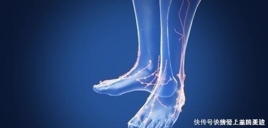 六味地黄丸|一步到位的方子治脚后跟疼、脚后跟骨刺,再现中医合理性