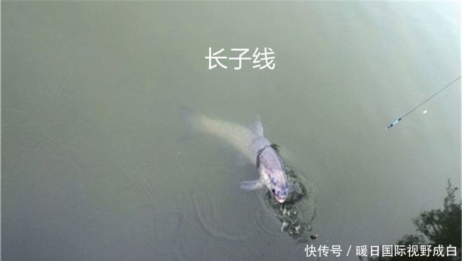 决定子线长短的原则!