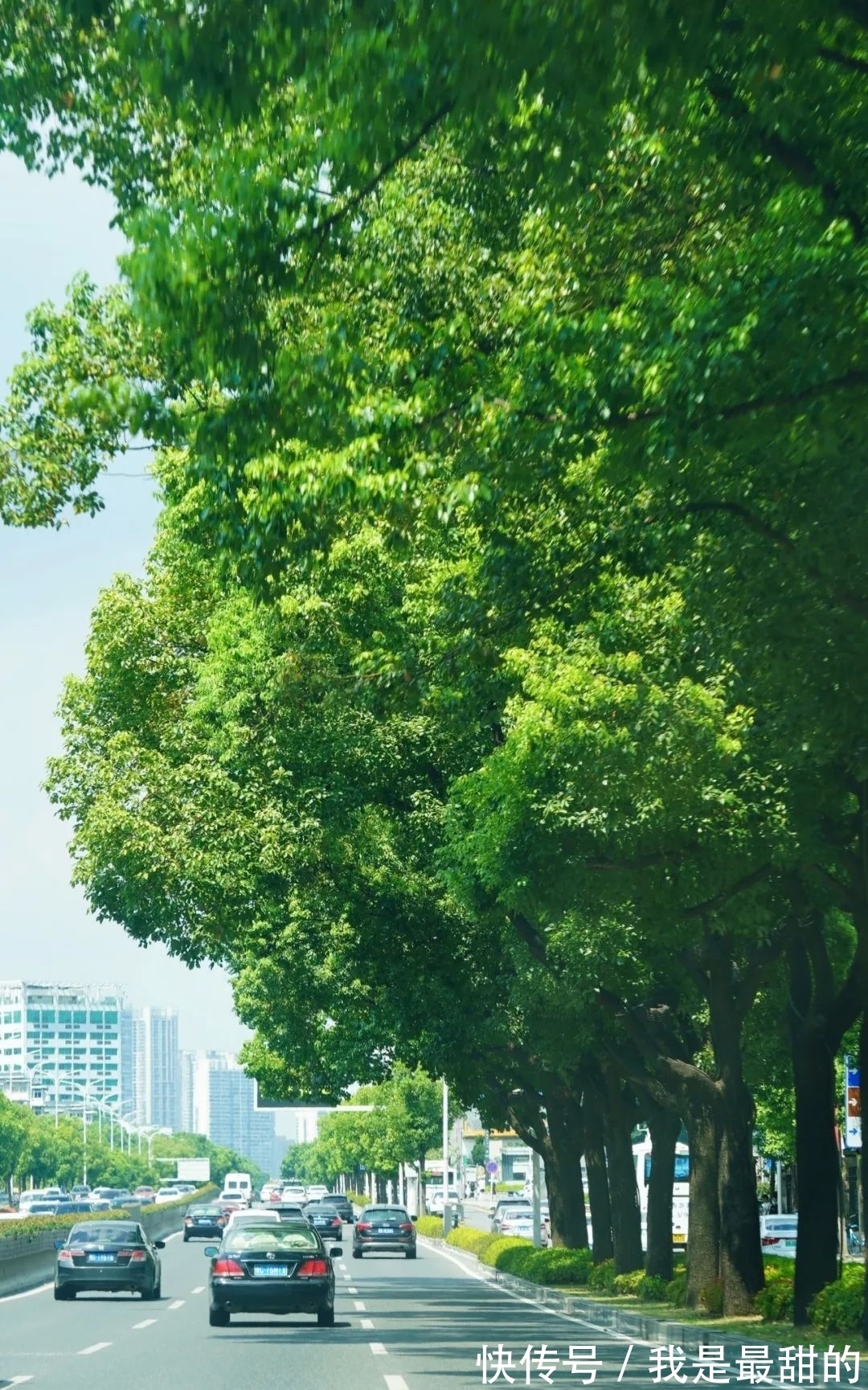 投票|这些上班路上的风景美到可以做壁纸！快来推荐