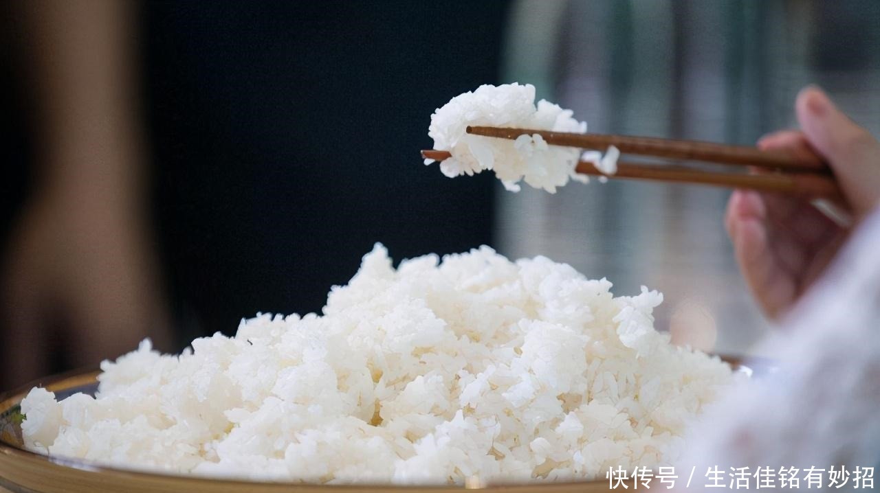 立马|中国人都离不开大米,但老外为啥不吃米饭看完立马就懂!