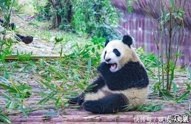 天上人间|四川这8大景点,待山河无恙,一定要去看看!