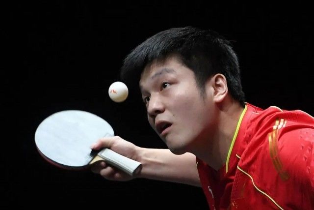 樊振东|恭喜！孙颖莎、樊振东，双双夺冠！