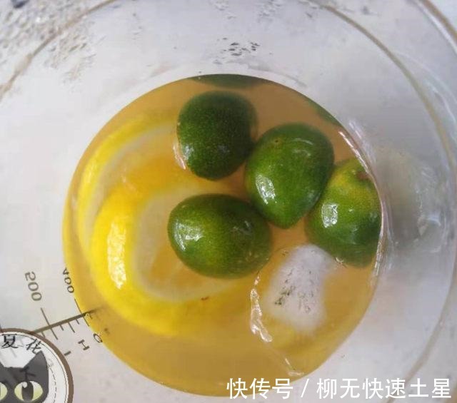 脆皮金桔|金桔柠檬绿茶,酸中带着甜,凉爽又解渴!