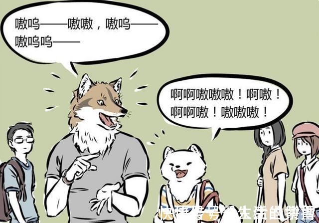 九月|非人哉九月和男孩子约会,对方全程讲英文,逼九月使出杀手锏