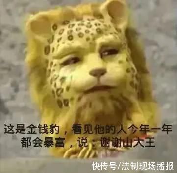 发财|2022年最火头像《金钱豹》是什么梗?他就是想发财 他有什么错