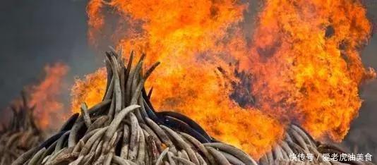 这6种宝石堪比珠宝界中的“军火”,如今竟买不到