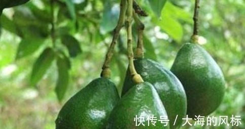 胎儿|怀孕后,5种东西再贵也要舍得吃,对腹中胎儿好处多