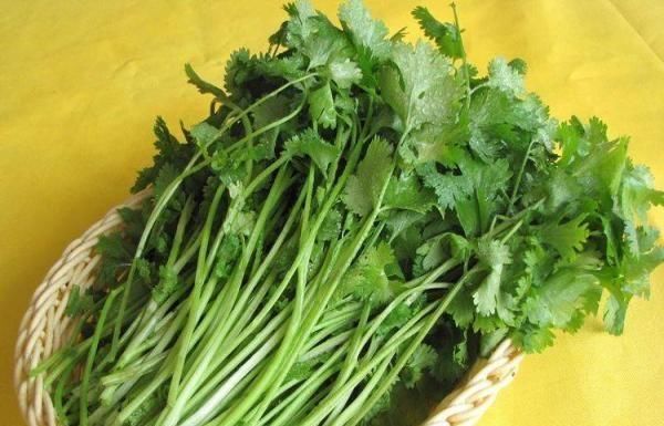 香菜配上它，大肚腩消了，睡眠好了！女人不想滿臉皺紋，可以試試