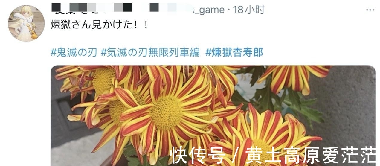 小哥|日本全民都在cos鬼灭之刃!木村拓哉也加入?这个炎柱太像了