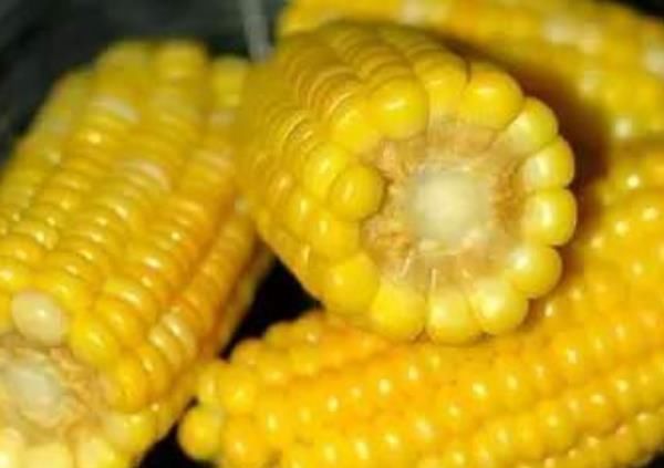 会吃才更长寿,4种食物多吃点,促消化清肠道,身体倍棒