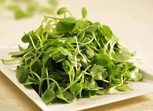 春冬|日常不可少的几种食物,坚持常吃,对抗衰老,滋补身体,气色更好