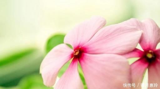 生活|50、60、70岁的朋友,记住这7句话,让你的生活更幸福