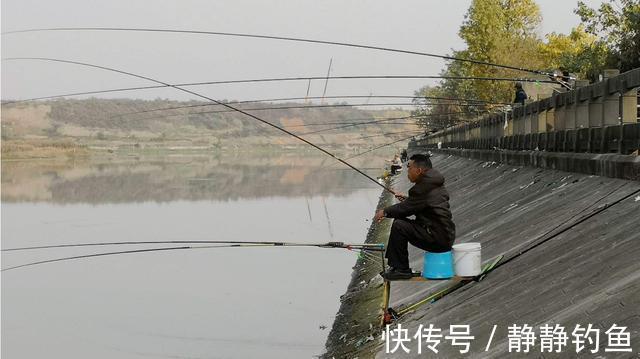 鱼儿|立冬过后，怎样选择钓位？掌握了这四点，才是收获满满的关键