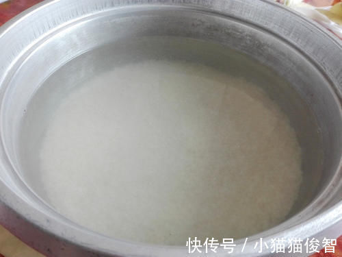 身体免疫力|天冷了，这“碱性食物”可以多吃，健脾养胃，提高身体免疫力！